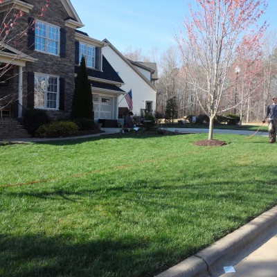 Organically Maintained Fescue Lawn