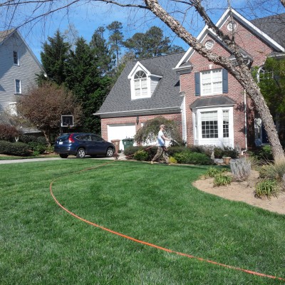 Organically Maintained Fescue Lawn