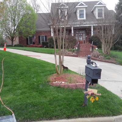 Organically Maintained Fescue Lawn