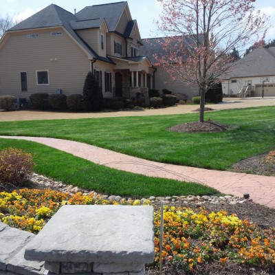 Organically Maintained Fescue Lawn