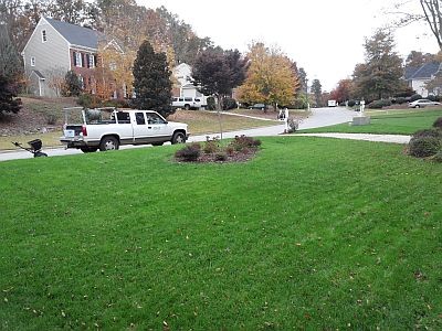 organic lawn 400x300