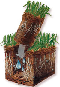 aeration cube 200x298