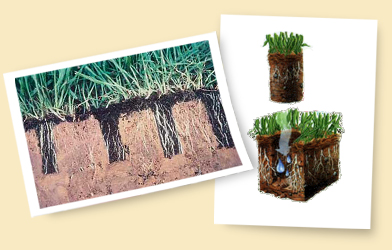 aeration photo w cube 392x250